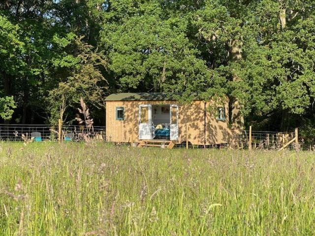Coachroad Shepherds Huts Petworth Luaran gambar