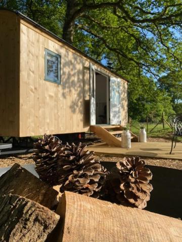 Coachroad Shepherds Huts Petworth Luaran gambar